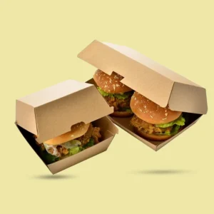 Takeaway Burger Boxes